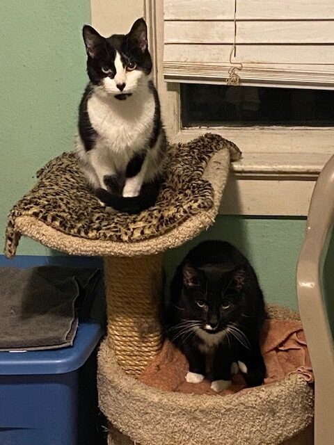 Stretch and Tux